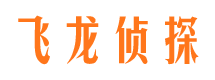 陵县资产调查